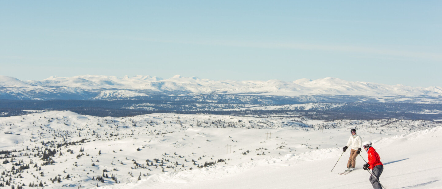 Skiskole