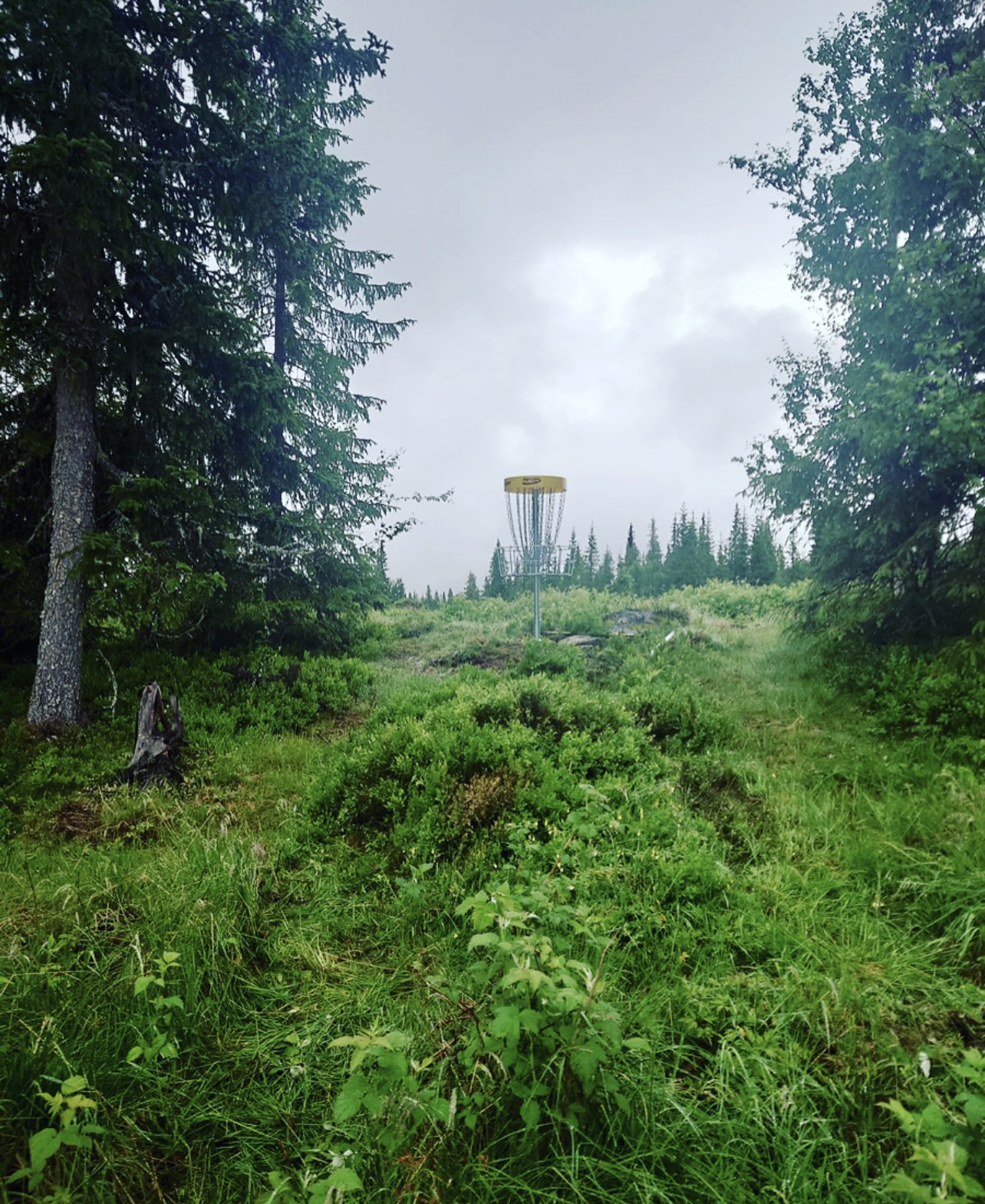Frisbee-golf