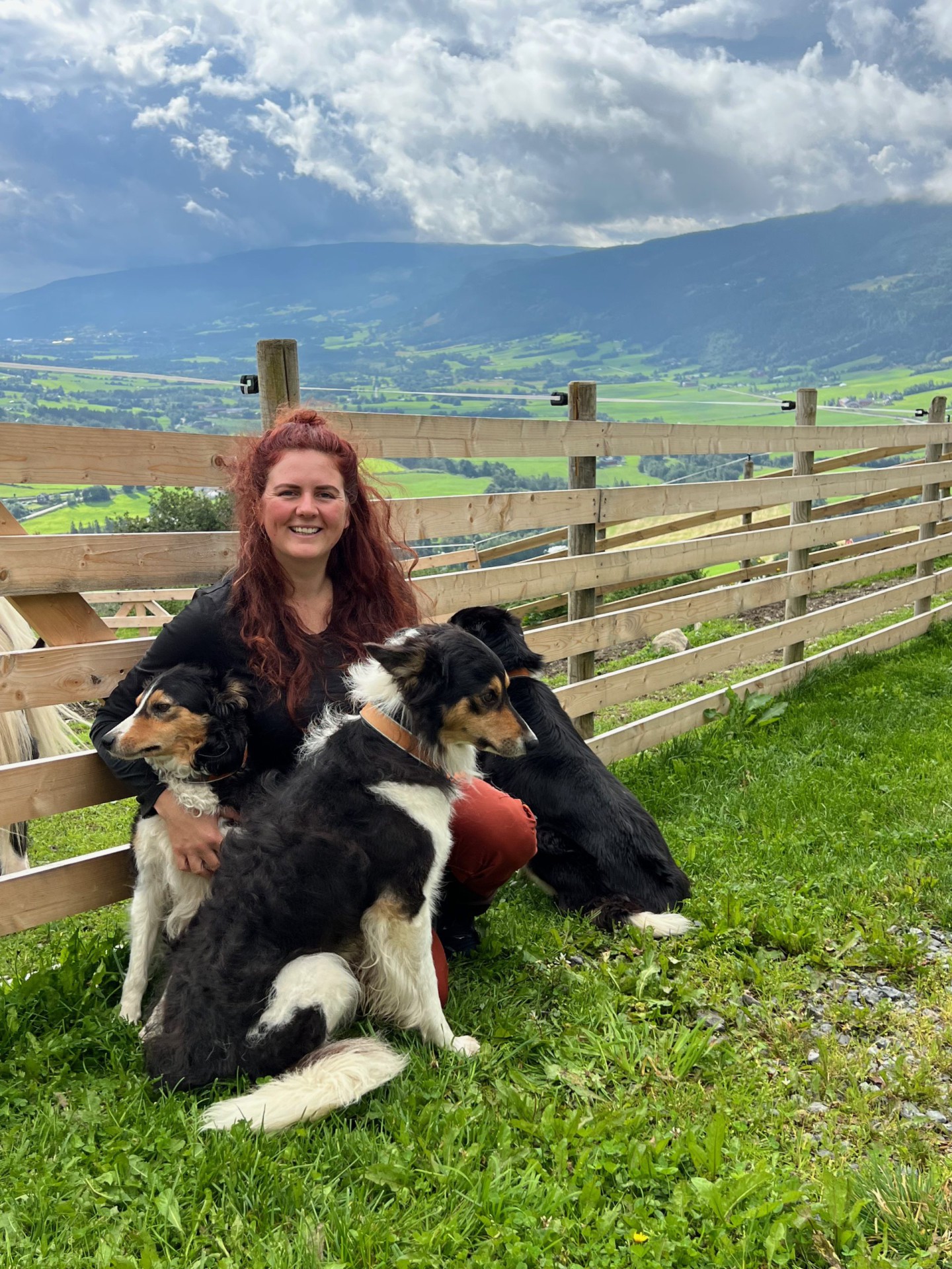 Millies hundesenter
