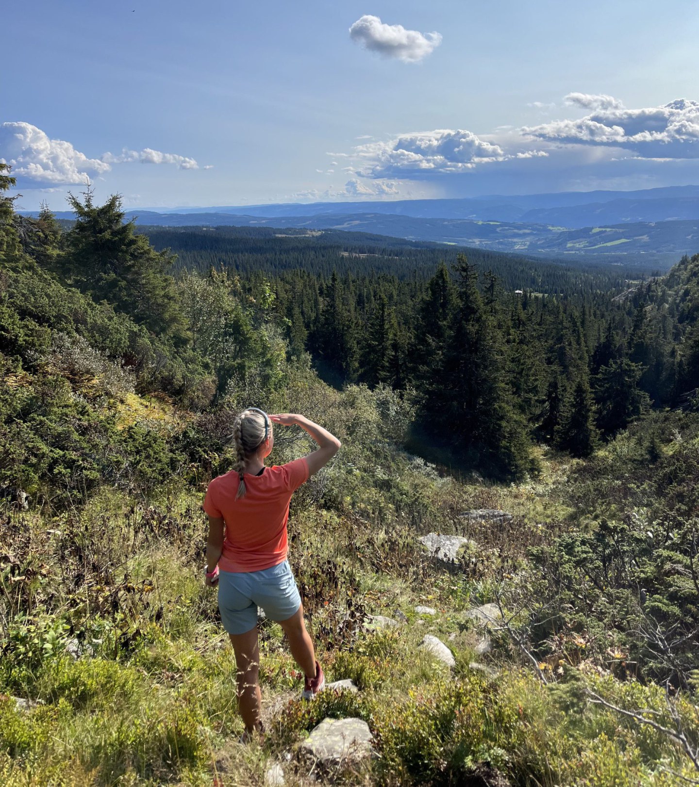 sommer, killiknappen